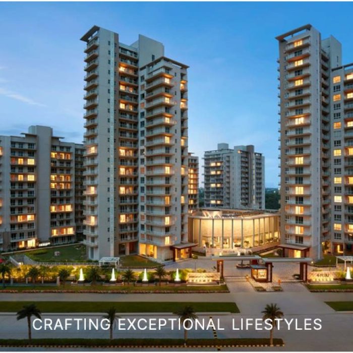 WhatsApp Image 2025-03-01 at 1.40.26 PM (2)