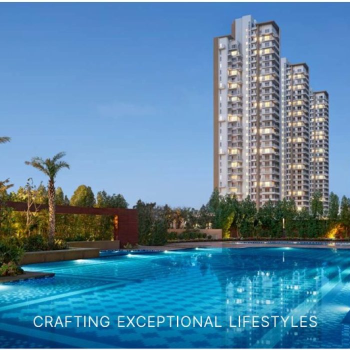 WhatsApp Image 2025-03-01 at 1.40.26 PM (3)