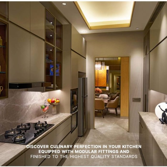 WhatsApp Image 2025-03-01 at 1.40.40 PM (1)